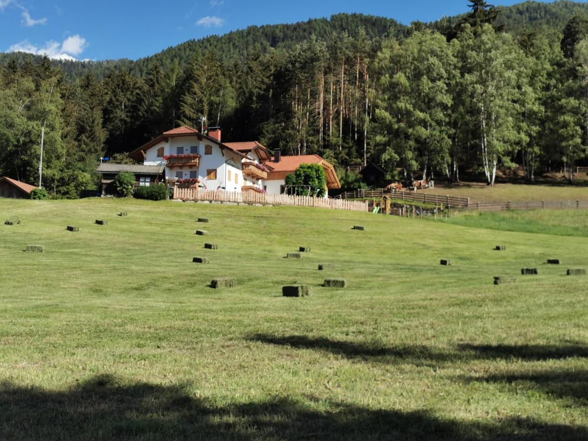 Rauchenbichlerhof Apartment บรูนิโก ภายนอก รูปภาพ